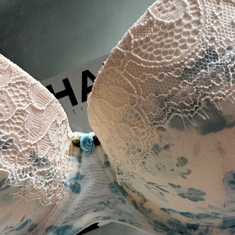 Jessica Simpson Cream and Blue Lace Bra 36C - Picture 4 of 10